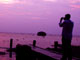 Honeymoon 07 Nights + 08 Days Cochin Munnar Periyar Alappuzha Houseboat Tour Package